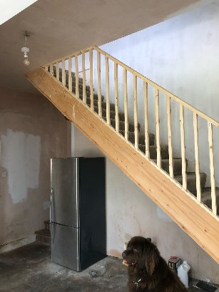 Stairs with a wooden handrail leading to a second floor, beside a black fridge and a dog.